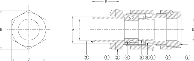 Diagram of Flame Proof Cable Gland